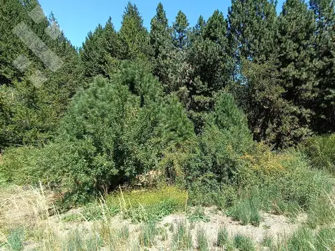 Terreno en Venta en San Martin de los Andes, Lácar