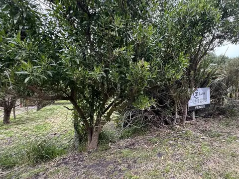 Terreno en Venta 17,77  mts Frente