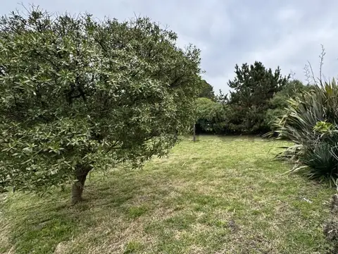 Terreno en Venta 50  mts Fondo