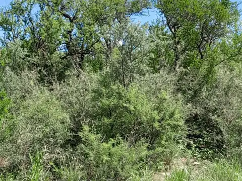 Terreno en Venta en Las Rabonas, USD 20.000