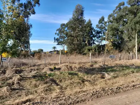 VENDO CAMPO DE 1 HECTÁREA EN  ZONA RESIDENCIAL DE ESQUINA!