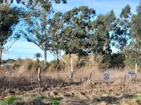 Noain Ortigoza