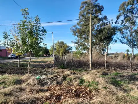 Noain Ortigoza