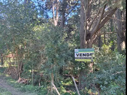 1 hectarea con mejoras y arbolada a 5 min del centro de Cañu