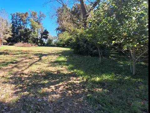 Terreno en Venta de 10668,0 m2