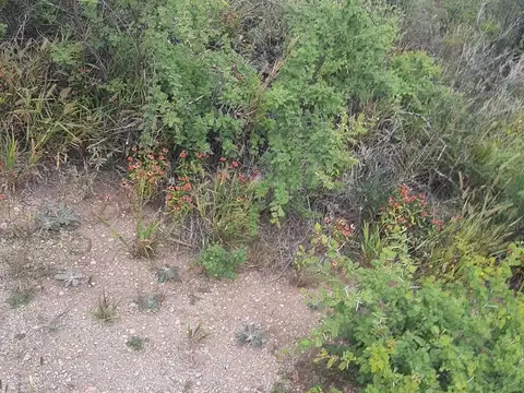 Terreno en Venta de 1000,0 m2