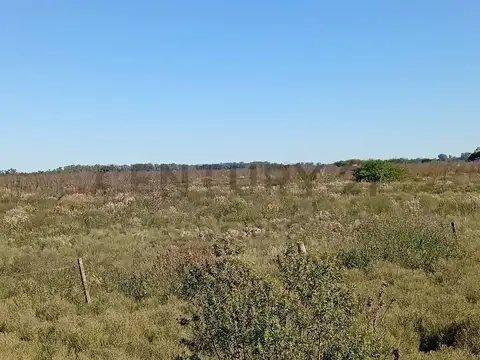 Campo en Venta de 0,02  ha