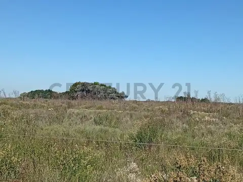 Campo/Fracción en General Rodríguez VENTA en block o en lotes. Desarrollo Inmobiliario.