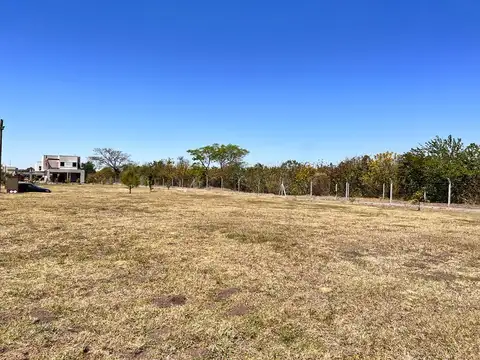 Terreno en Venta 39  mts Fondo