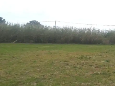 Terreno en Venta de 800,0 m2