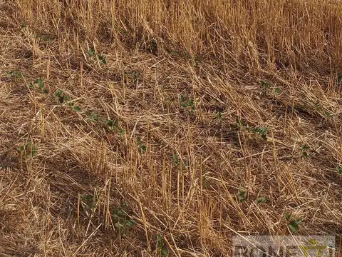 Venta de campo en la zona de Mercedes- San Andrés de Giles próximo a Autopista Ruta 7