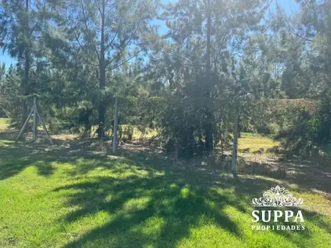 Terreno en Venta 18  mts Fondo