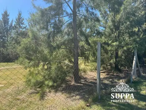 Terreno en venta Castaños Nordelta