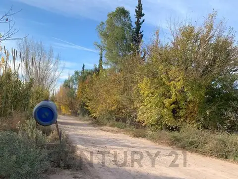 TERRENO DE UNA HECTÁREA EN VENTA EN RODEO DEL MEDIO, MAIPÚ, MENDOZA. ID: 347594