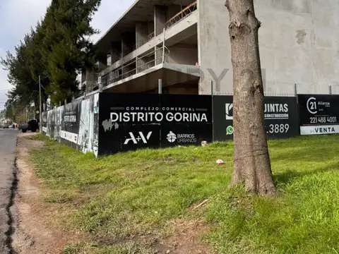 LOTE EN VENTA 38 484 y 485