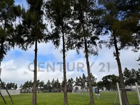 Oficina en Venta 2025 años