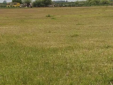 Campo en Pavon