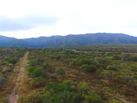 Campo en Venta en Villa Larca, Chacabuco