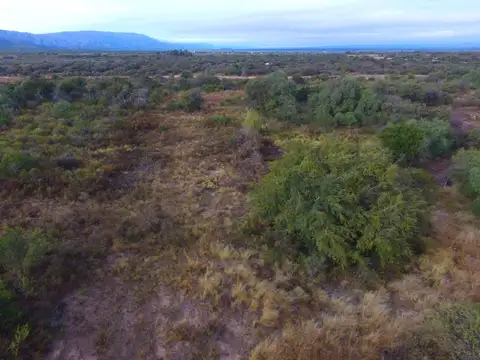 Campo en Venta de 16  ha