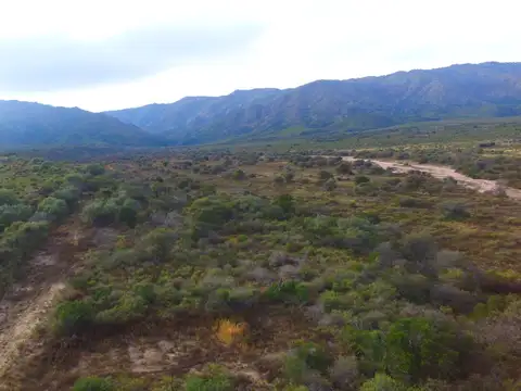 Campo en Venta de 16  ha