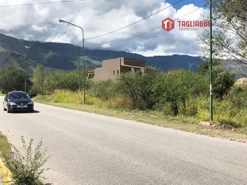 Fabuloso Lote Comercial