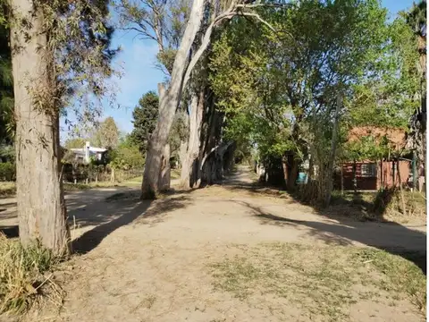 LOTE TERRENO GIGANTE 12X50 OLIVEROS