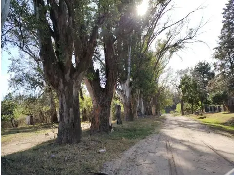 Terreno en Venta de 600,0 m2