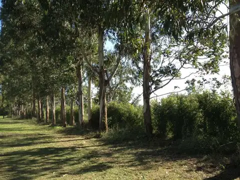 Terreno en Venta 10  mts Frente