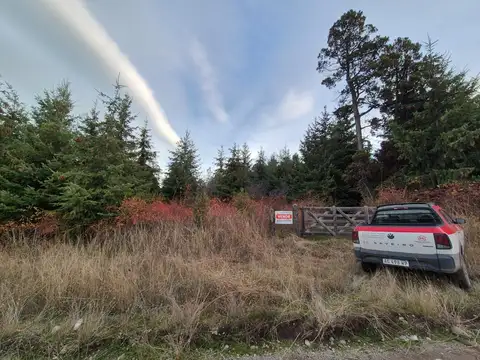 Hectárea en Trevelin con bosque