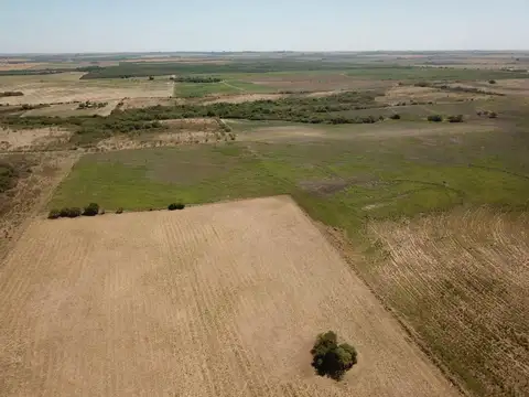 CAMPO MIXTO EN ENTRE RIOS, 2000 Has