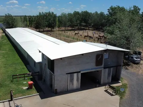 Terreno en Venta de 1000,0 m2