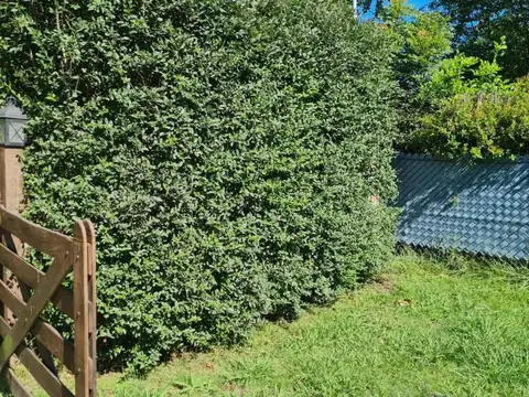 Terreno en venta - 800Mts2 - Exaltación de La Cruz