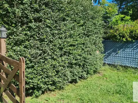 Terreno en venta - 800Mts2 - Exaltación de La Cruz