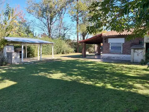 Albert Einstein 4500