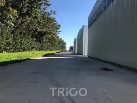 Polo industrial Ezeiza - Localidad Spegazzini - Autopista Ezeiza Cañuelas