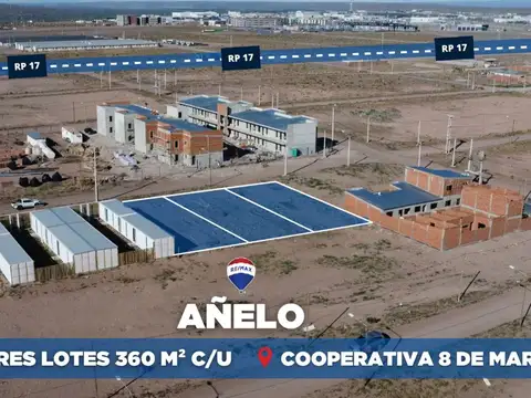 VENTA 3 LOTES 1080 M2 EN AÑELO VACA MUERTA