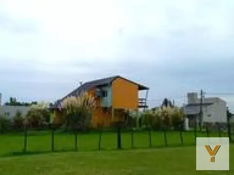 Domselaar Chico