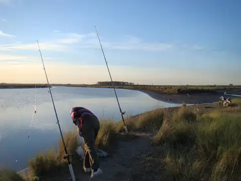 Venta de campo 76Has con costa