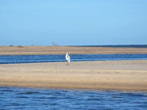 Venta de campo 76Has con costa