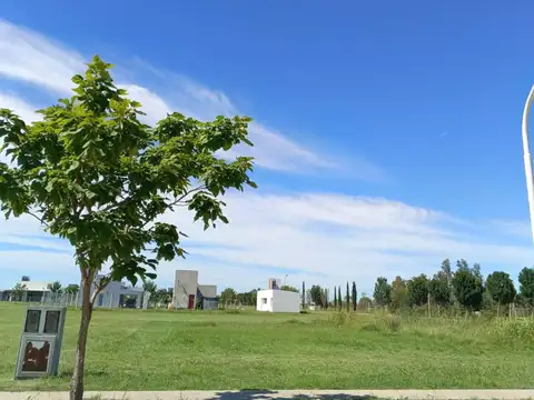 Anita S. de Panero al NaN