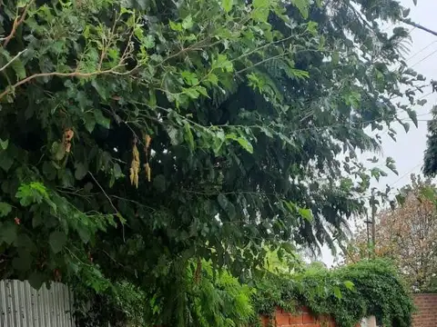 Terreno en Venta en Quilmes, USD 83.000