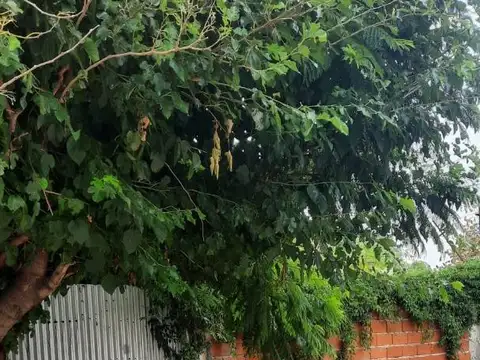 Terreno en Venta de 235,0 m2