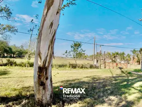 Terreno en Alquiler de 77000,0 m2