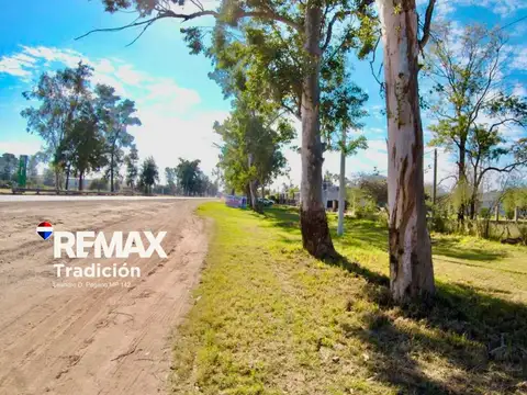ALQUILER TERRENO 7HA SOBRE RUTA NAC CHARATA CHACO