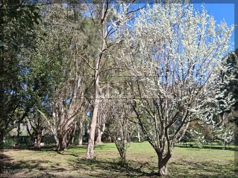 Terreno en Venta de 2516,0 m2