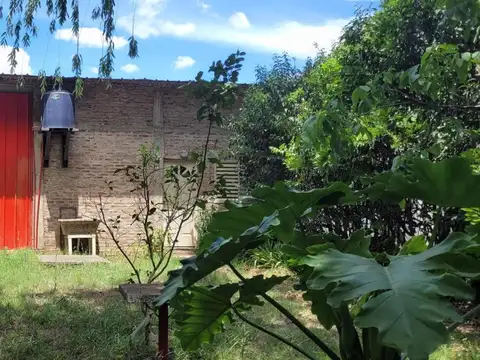 Publica Colectora
