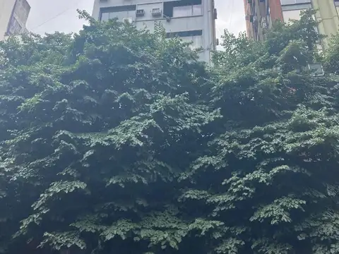 Uruguay 600