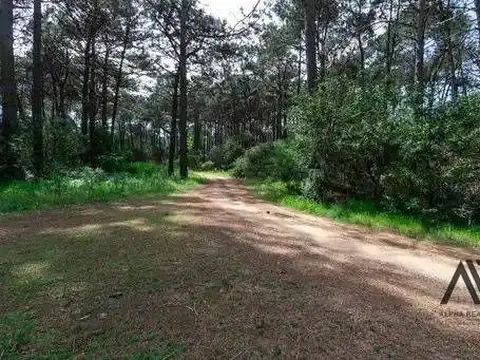Terreno en Venta 48  mts Frente