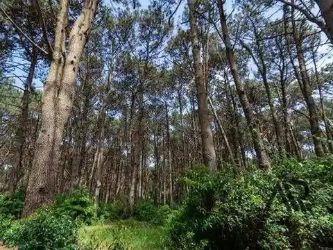 Terreno en Venta en Maldonado, USD 120.000