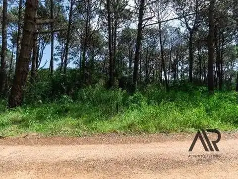 Terreno en venta de 1007m2 ubicado en Laguna Del Sauce
